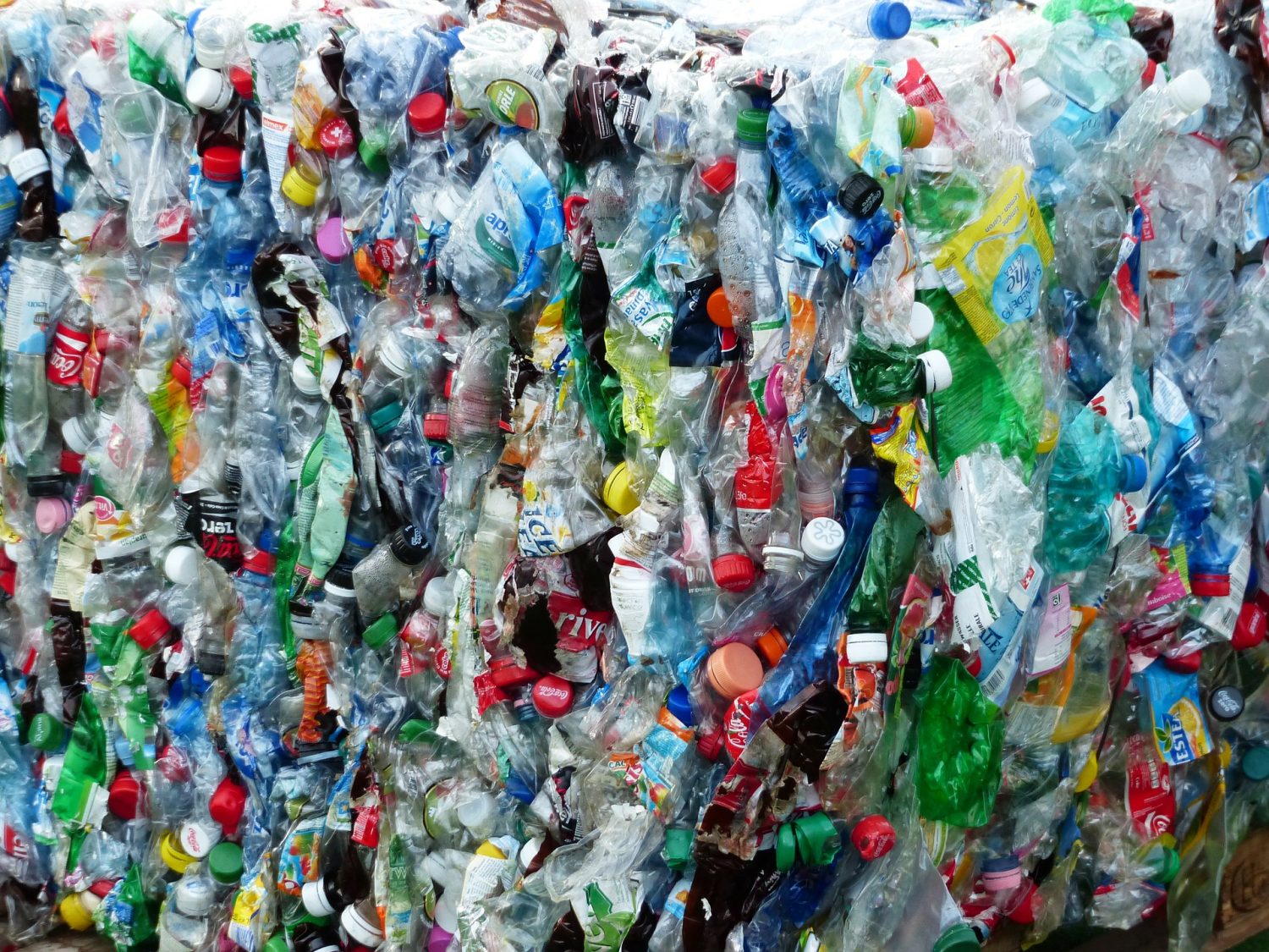 Plastic Bottles