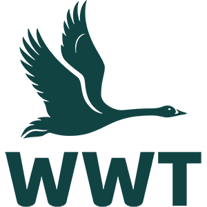WWT Logo